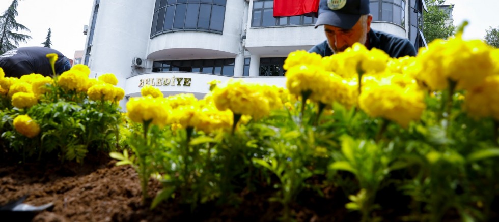 “Akçaabat’ın Renkleri Belediyenin Seralarında Yetişiyor”