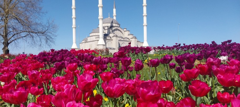 DAHA YEŞİL TRABZON ATAĞI