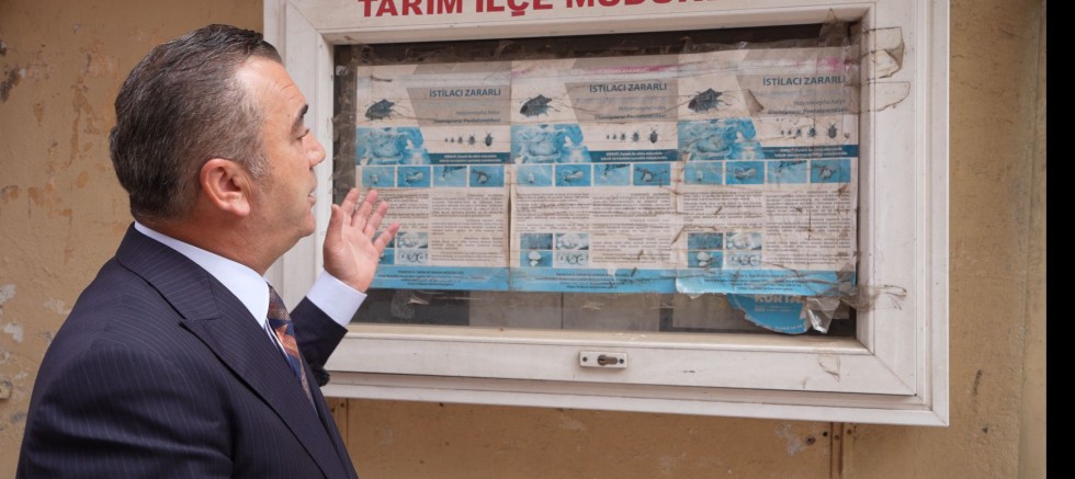 “Kokarcaya karşı afiş değil, gerçek mücadele lazım”