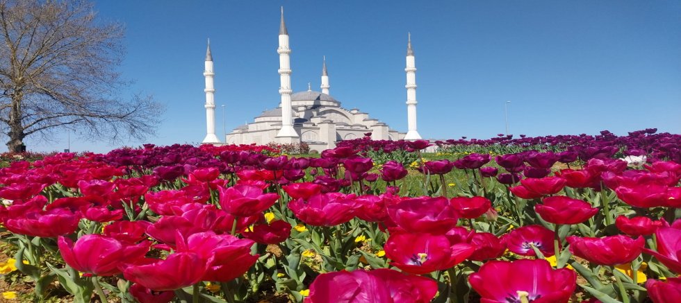 DAHA YEŞİL TRABZON ATAĞI
