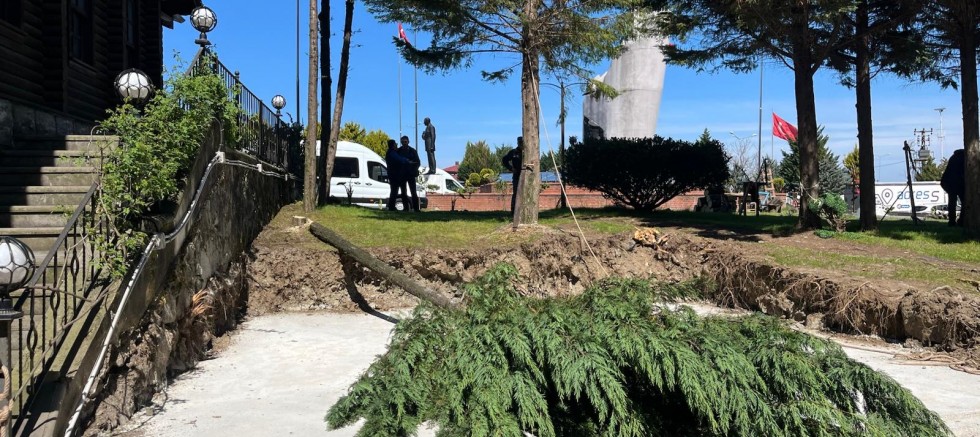 Rize Çayeli‘nde ağaç katliamı!