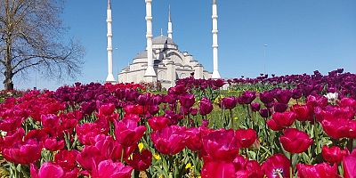 DAHA YEŞİL TRABZON ATAĞI