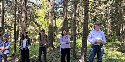 Doğa Tarih Derneği “Orman Banyosu” etkinliği düzenledi