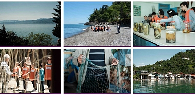 GÖRÜNMEZ KATİL HAYALET AĞLAR!